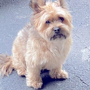 Meet your Posher, Lorena